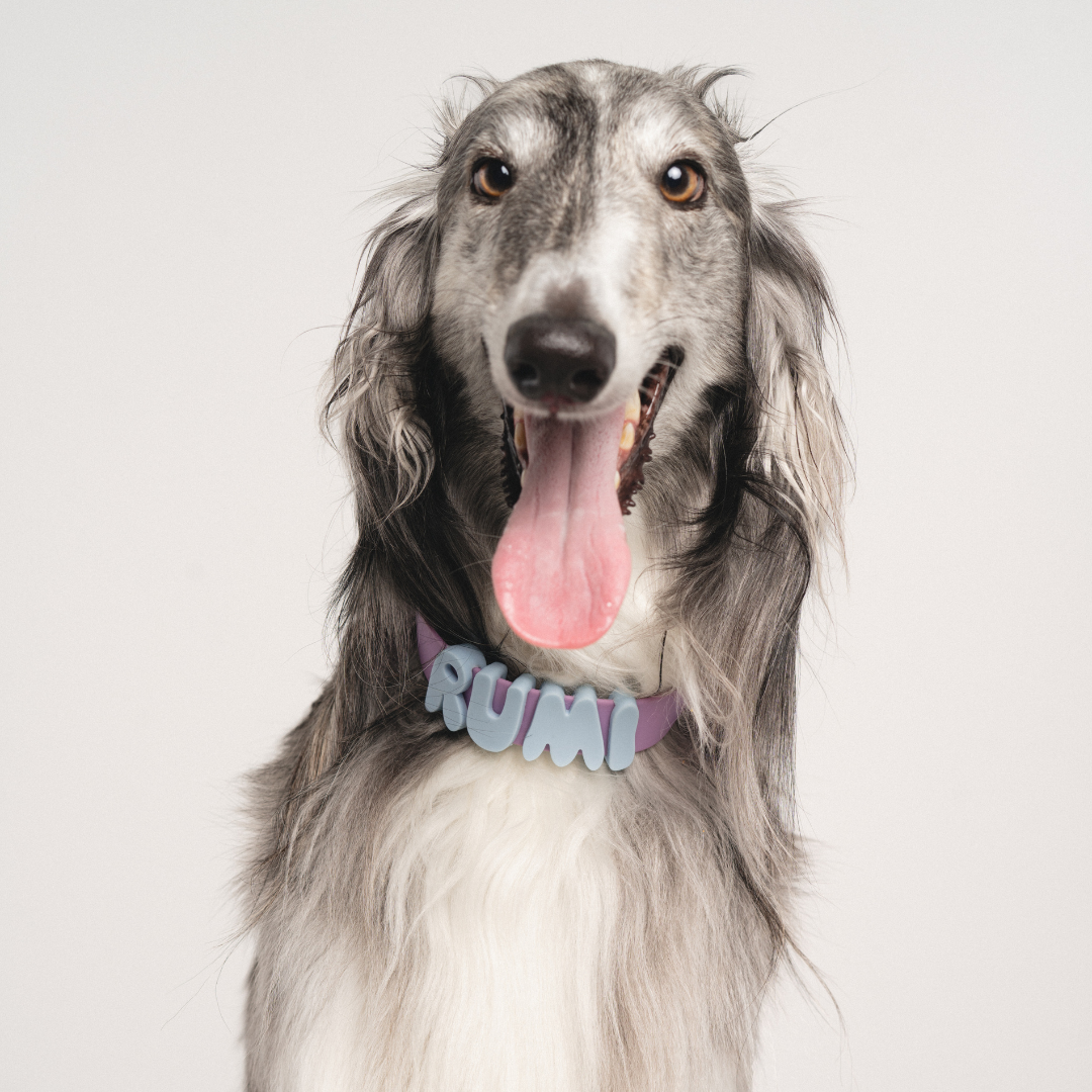 Charms pour chiens en silicone -  Bleu Ciel - Springerland Pets