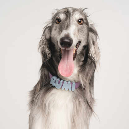 Charms pour chiens en silicone -  Bleu Ciel - Springerland Pets