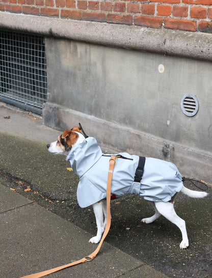 Imperméable pour chien gris clair - Tadazhi