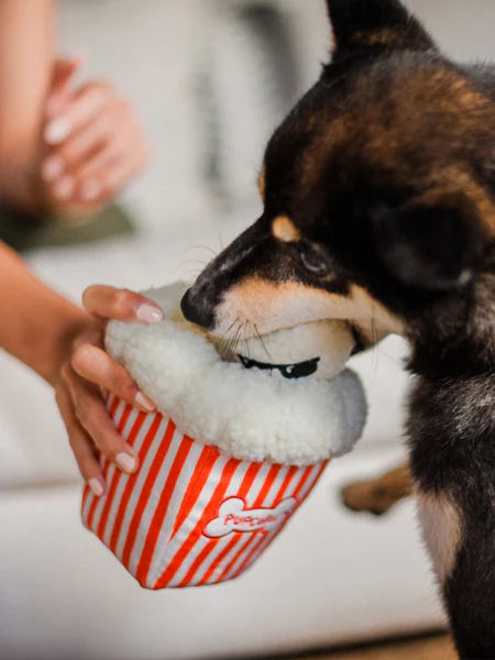 Jouet en peluche pour chien - Hollywoof Cinema - Poppin’ Pupcorn - Pet PLAY